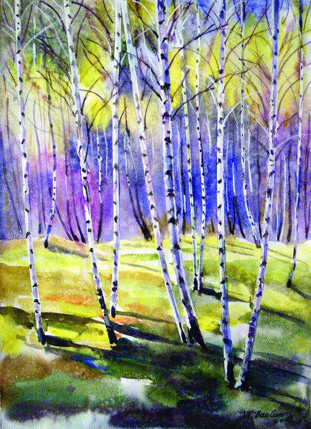 Silver Birch Trees in Early Autumn